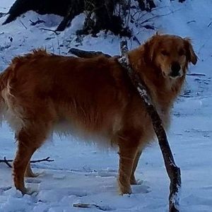 Meet your Posher, Trece